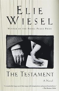 bokomslag The Testament