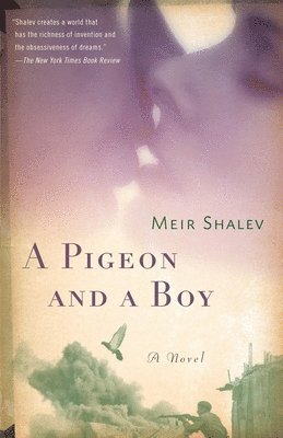 bokomslag Pigeon and a Boy