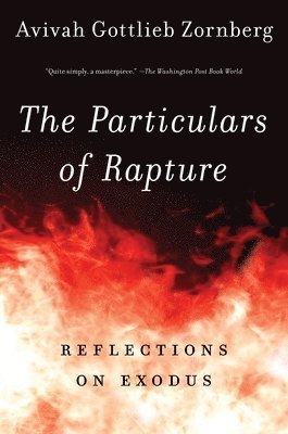 Avivah Gottlieb Zornberg - The Particulars of Rapture: Reflections on Exodos, Häftad