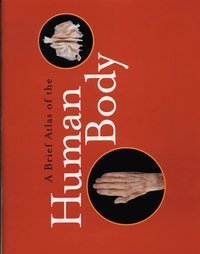 bokomslag Brief Atlas of the Human Body