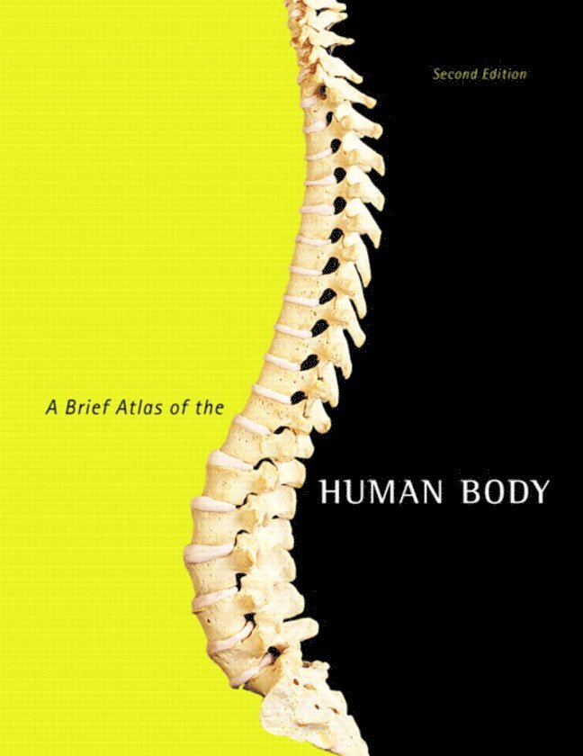 Matt Hutchinson, Jon Mallatt, Elaine Marieb, Patricia Wilhelm - Brief Atlas of the Human Body, A, Häftad