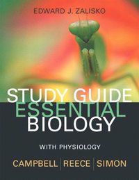 bokomslag Study Guide