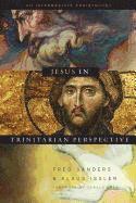 bokomslag Jesus In Trinitarian Perspective
