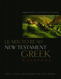 bokomslag Learn to Read New Testament Greek, Workbook