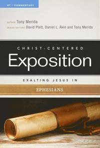 bokomslag Exalting Jesus In Ephesians