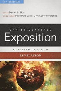 bokomslag Exalting Jesus in Revelation