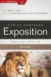 bokomslag Exalting Jesus in Daniel