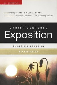 bokomslag Exalting Jesus in Ecclesiastes