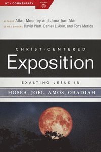 bokomslag Exalting Jesus in Hosea, Joel, Amos, Obadiah