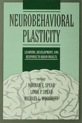 bokomslag Neurobehavioral Plasticity