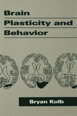 Brain Plasticity and Behavior 1