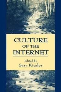 bokomslag Culture of the Internet