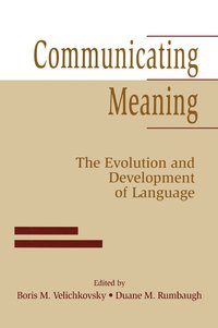 bokomslag Communicating Meaning