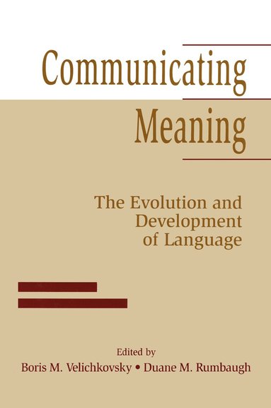 bokomslag Communicating Meaning