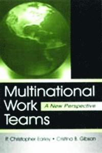 bokomslag Multinational Work Teams