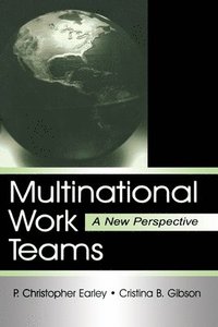 bokomslag Multinational Work Teams