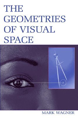 Geometries of Visual Space