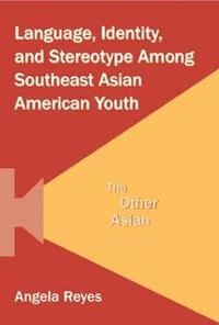 bokomslag Language, Identity, and Stereotype Among Southeast Asian American Youth