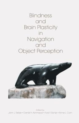 Blindness and Brain Plasticity in Navigation and Object Perception 1