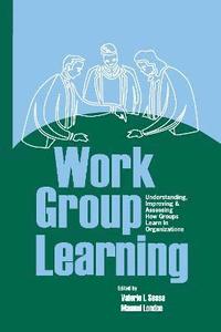 bokomslag Work Group Learning