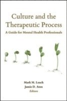 Culture and the Therapeutic Process 1
