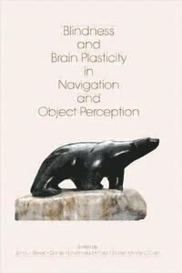bokomslag Blindness and Brain Plasticity in Navigation and Object Perception