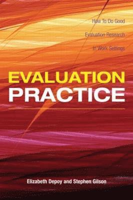 Elizabeth DePoy, Stephen Gilson, Elizabeth Depoy, Stephen French Gilson - Evaluation Practice, Häftad