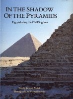 In the Shadow of the Pyramids 1