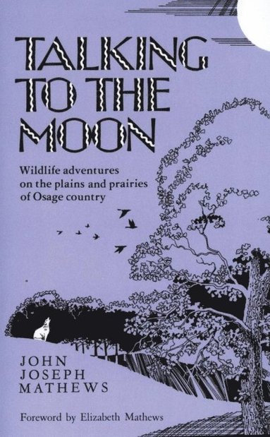 bokomslag Talking to the Moon
