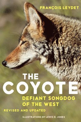 bokomslag The Coyote