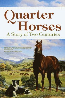 Quarter Horses 1