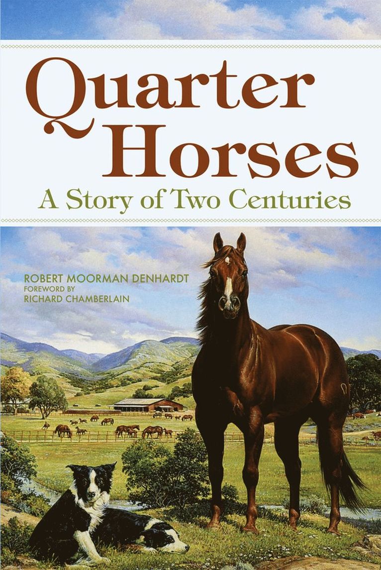 Robert Moorman Denhardt - Quarter Horses, Häftad
