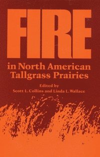 bokomslag Fire in North American Tallgrass Prairies