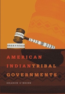 bokomslag American Indian Tribal Governments