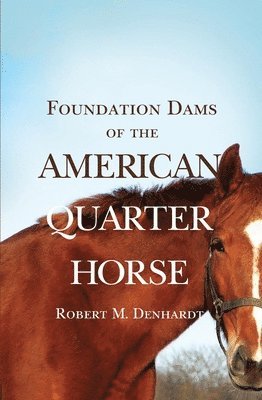 bokomslag Foundation Dams of the American Quarter Horse