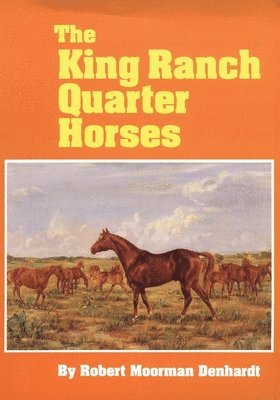 The King Ranch Quarter Horses 1