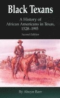 bokomslag Black Texans