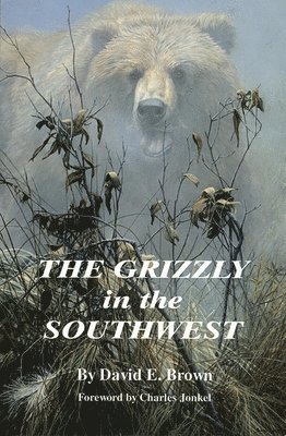 Grizzly in the Southwest