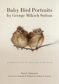 bokomslag Baby Bird Portraits by George Miksch Sutton