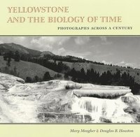 bokomslag Yellowstone and the Biology of Time