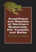 bokomslag Amphibians and Reptiles of Northern Guatemala, the Yucatan, and Belize