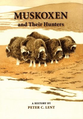 Peter C. Lent - Muskoxen and Their Hunters, Inbunden