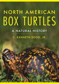 bokomslag North American Box Turtles