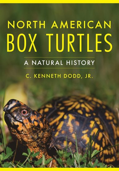 bokomslag North American Box Turtles