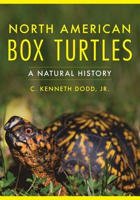 North American Box Turtles 1