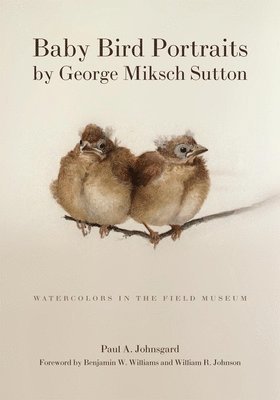 Paul A. Johnsgard - Baby Bird Portraits by George Miksch Sutton, Häftad
