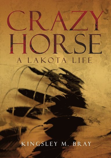 bokomslag Crazy Horse