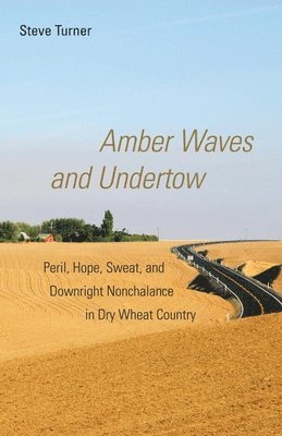 Steve Turner - Amber Waves and Undertow, Häftad