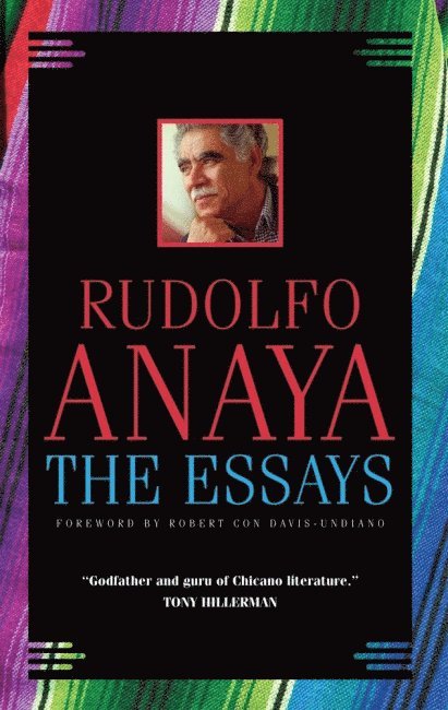 The Essays 1