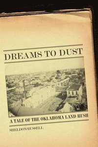 bokomslag Dreams to Dust